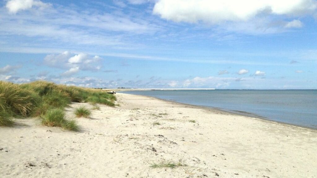 Ålbæk strand ved Skagen