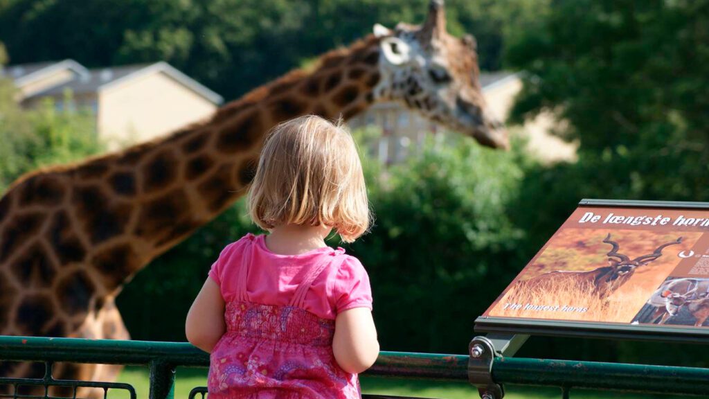 Jente i Aalborg Zoo