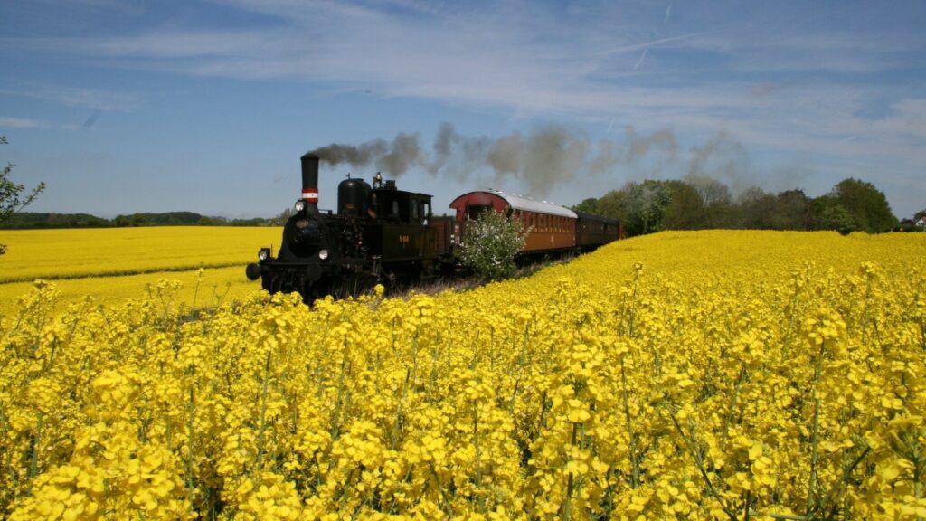 Sommerhusudlejning i Nordtyskland