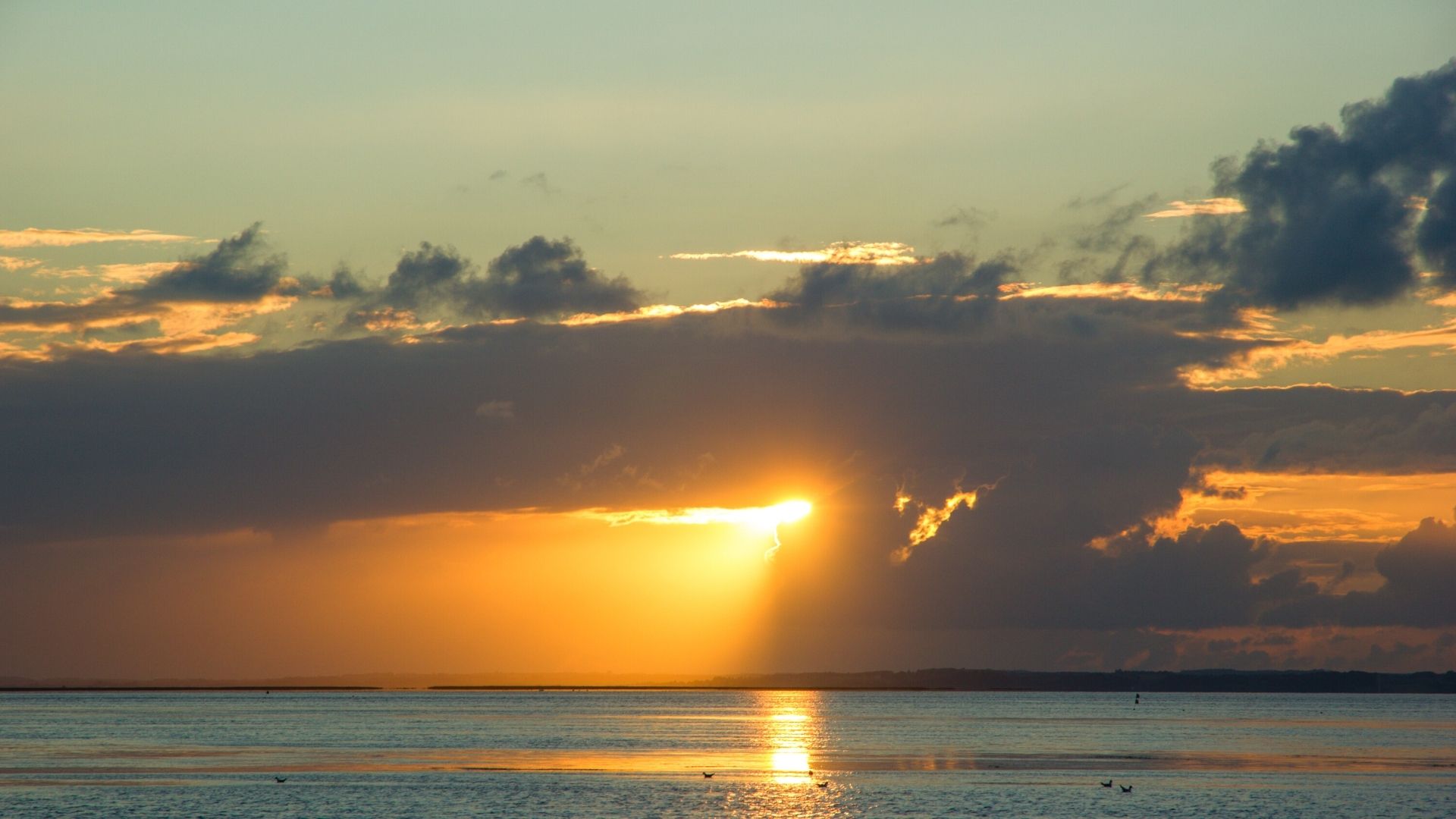 Solnedgang over Limfjorden