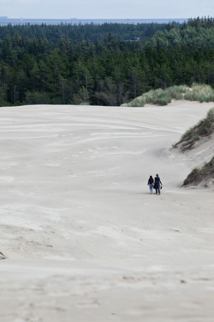 Naturen ved Råbjerg Mile