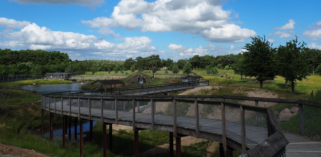 Anlæg til brunbjørnene i Skandinavisk Dyrepark