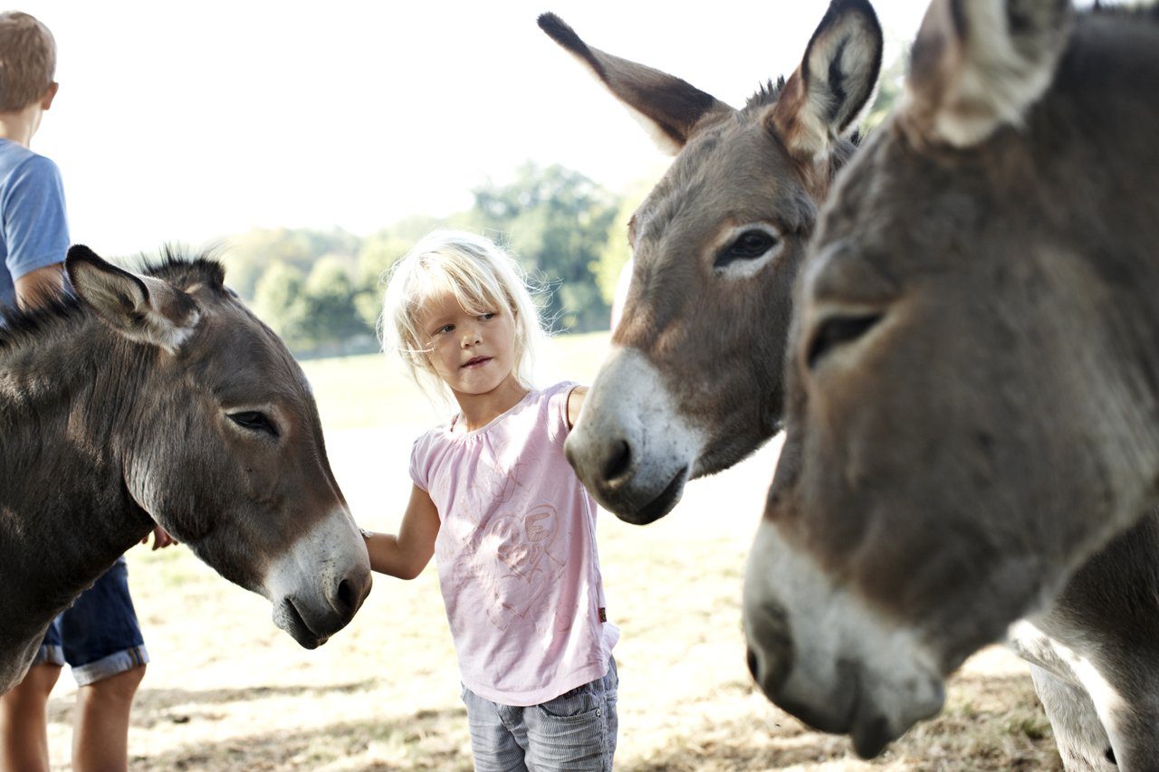 I nær kontakt med dyrene i Knuthenborg Safaripark