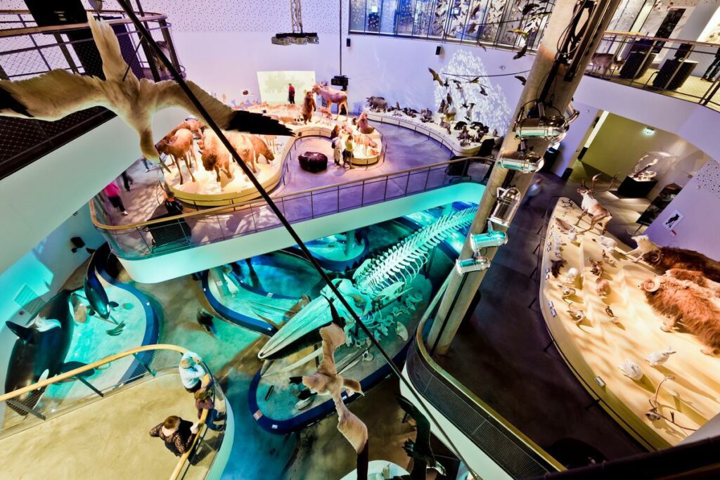 Indenfor på Naturama