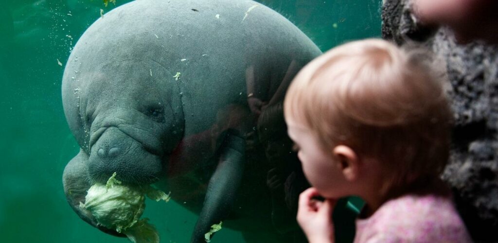 Soeko i Randers Regnskov