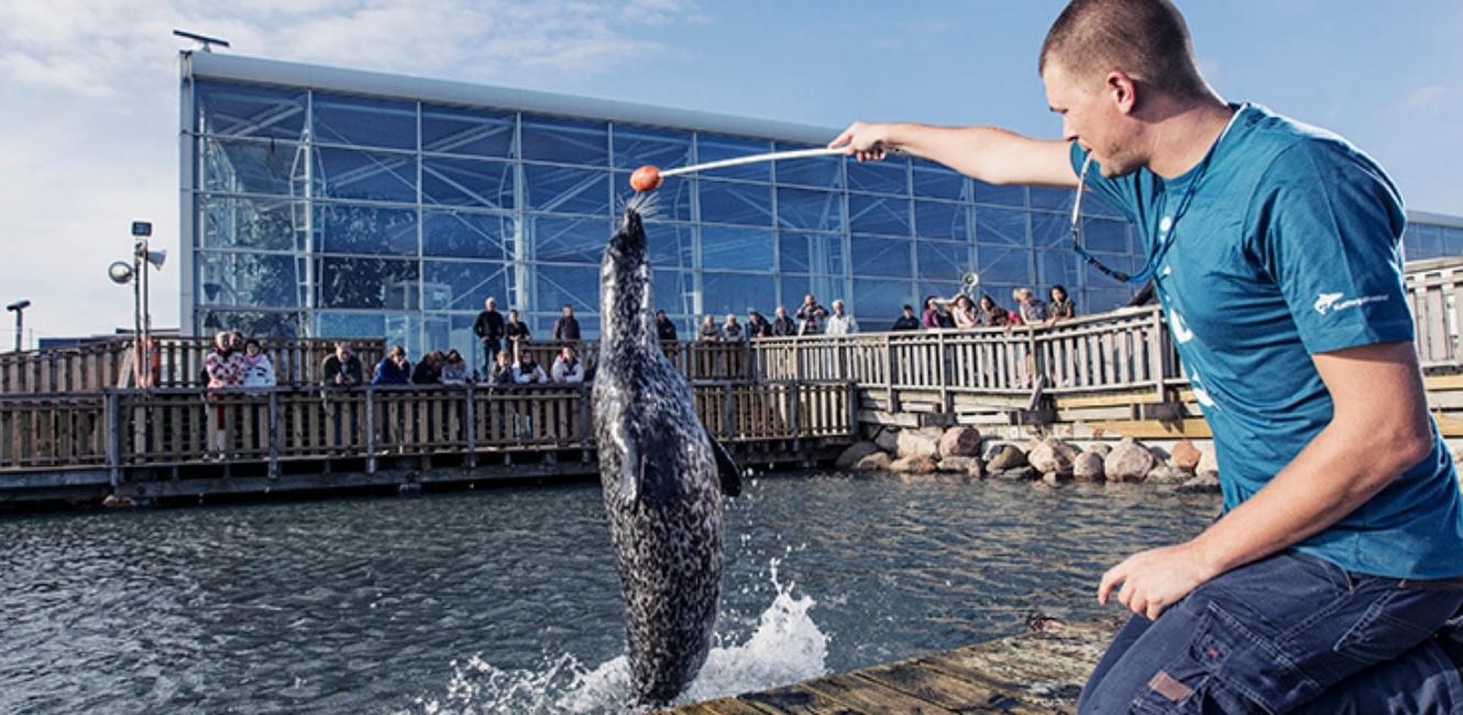 Sæl show i Kattegatcenteret