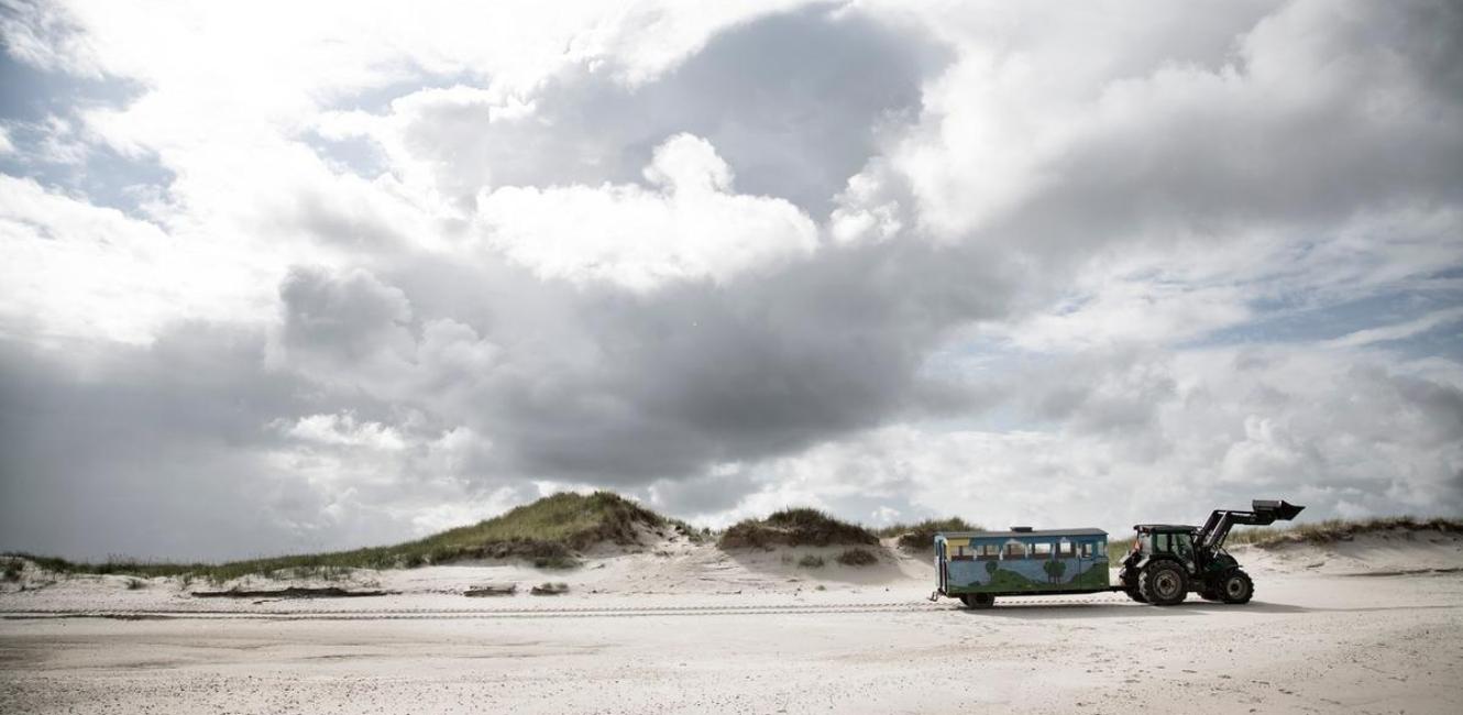 Dynamiske Landsskaber