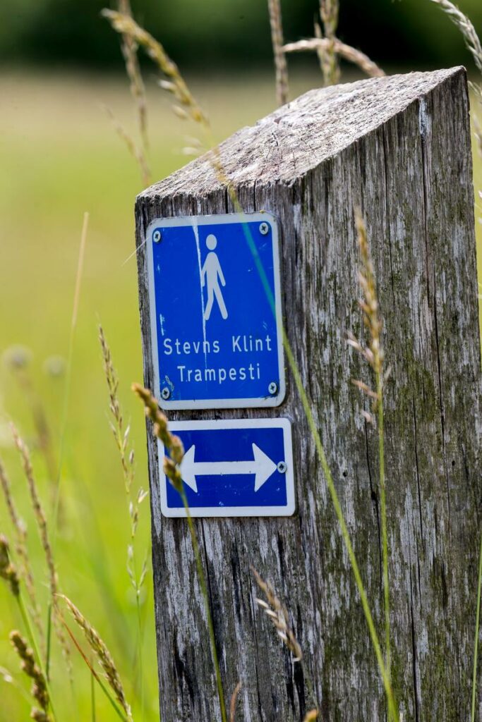 Rute til Stevns Klint