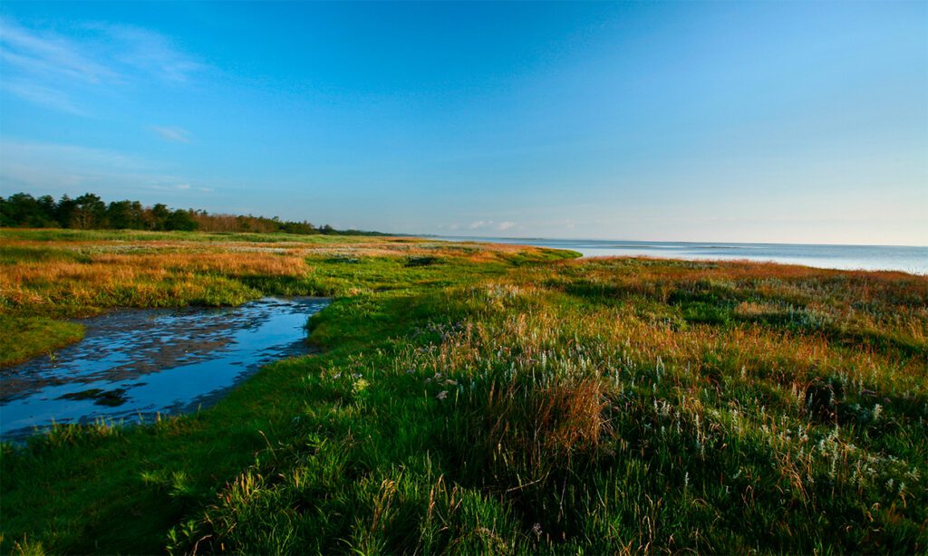 SlottUtleie av feriehus på Djursland
