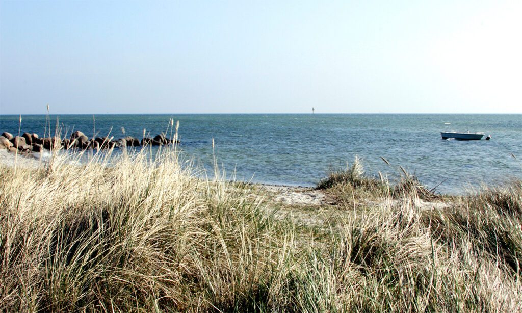 Strand ved Sejrø Bugt