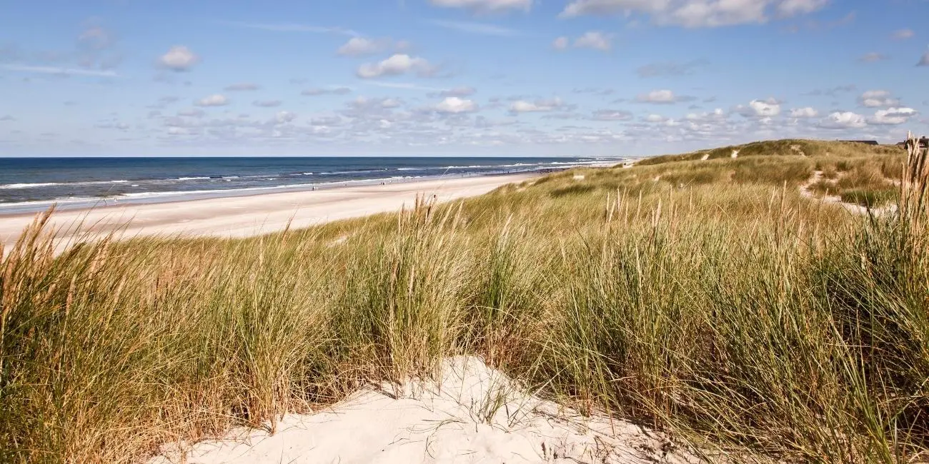 Vesterhavet