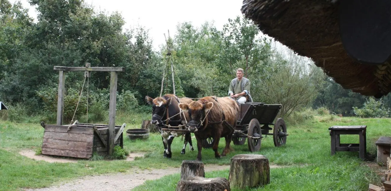 Transport i Ribe Vikingecenter