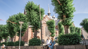 Haderslev sentrum med den imponerende domkirken